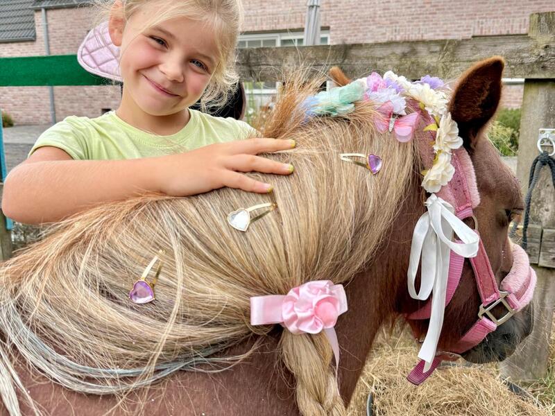 Alpaca- en ponythemakamp krokus
