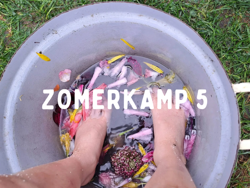 Zomerkamp 5