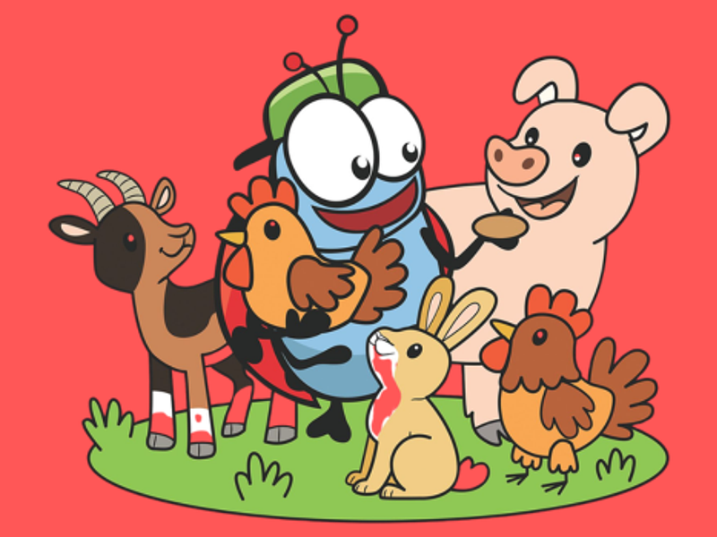Dierenkamp Leupegem (6-12j)