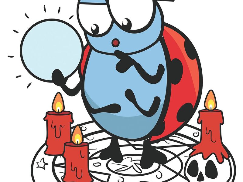 Zwarte magie Ename (2-6/11/2026)