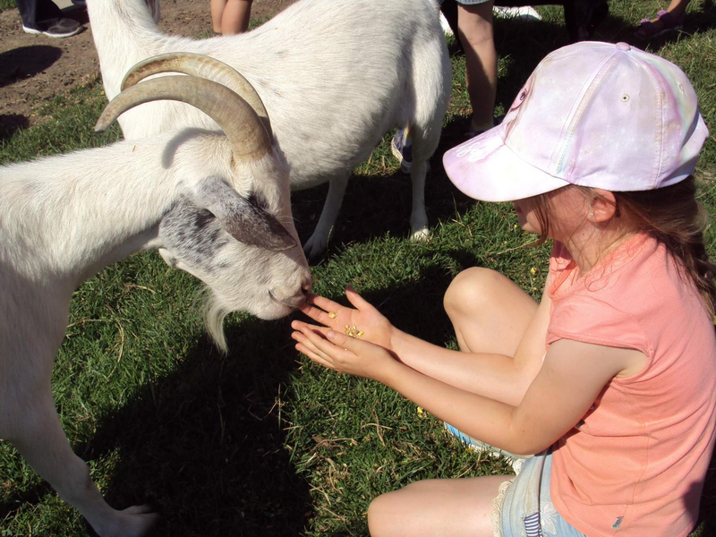 Boertjes & boerinnetjes