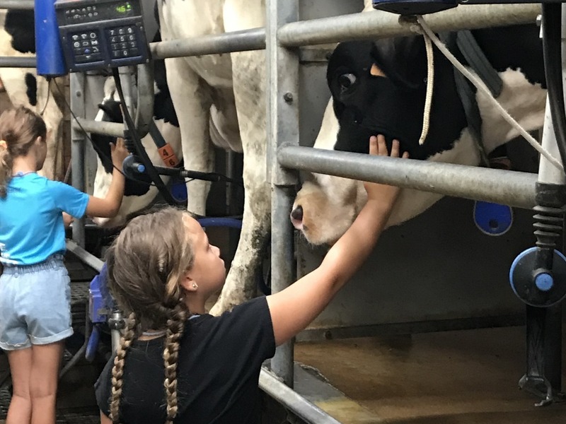 Boerderijfun