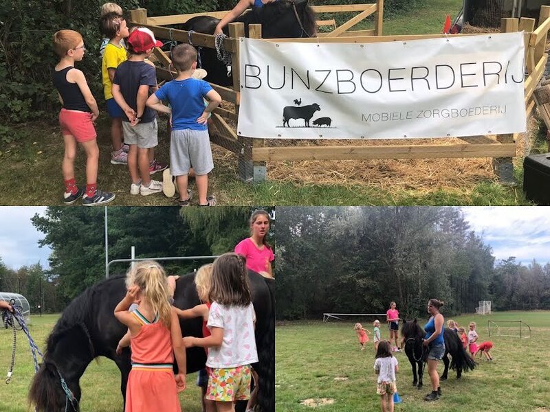 Boerderij