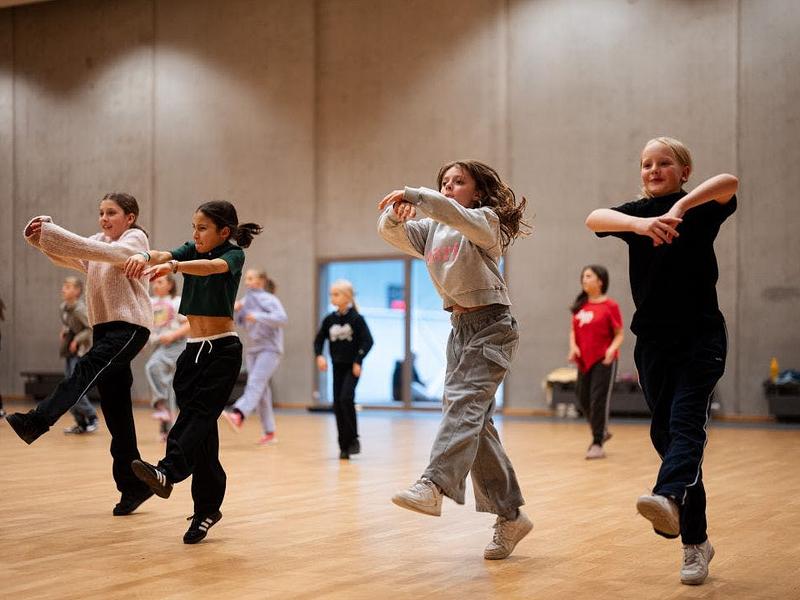 KERSTVAKANTIE week 1 / (dag)danskamp(en) / kids (6-10 jaar)