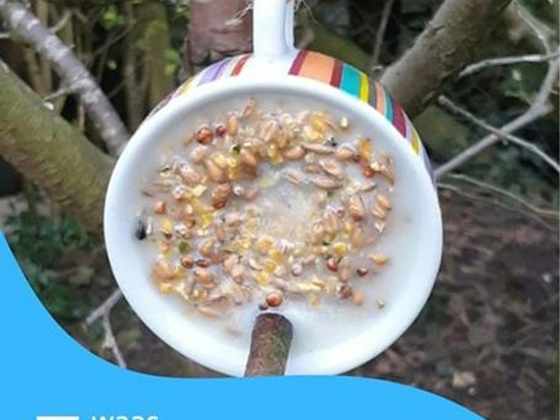 Grabbelpas: Vogelvoer maken