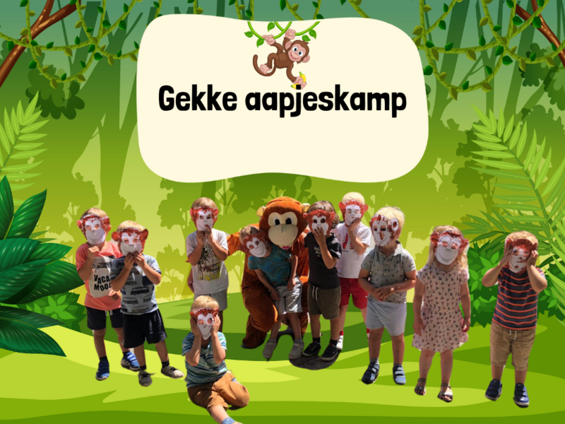 Gekke aapjeskamp
