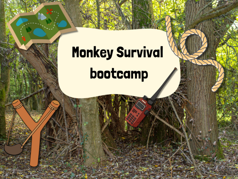 Monkey survival bootcamp